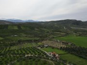 Agies Paraskies Kreta, Agies Paraskies: Großes Grundstück zu verkaufen Grundstück kaufen